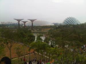 IMG01447-20120630-1850