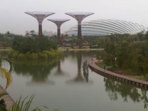 IMG01451-20120630-1855