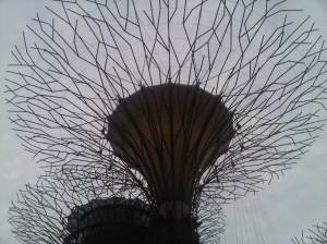 IMG01456-20120630-1901