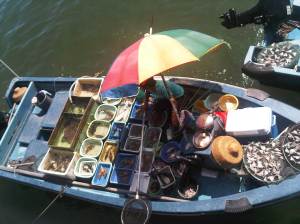 IMG02026-20120909-1416