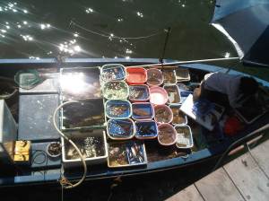 IMG02029-20120909-1417