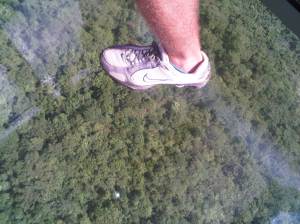 IMG02176-20120923-0929