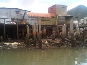 IMG02243-20120923-1240