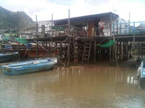 IMG02245-20120923-1241