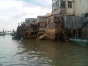 IMG02249-20120923-1241