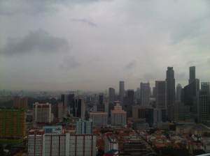 IMG02541-20121104-1828