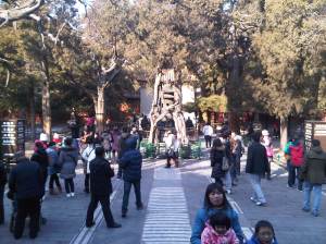 IMG02923-20130202-1435