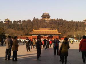 IMG02935-20130202-1441