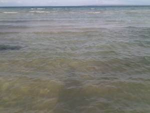 IMG02952-20130208-1625