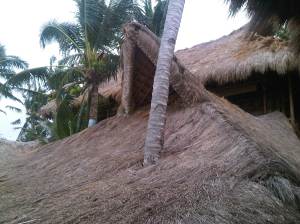 IMG02969-20130209-0819