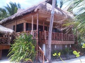 IMG02981-20130209-1159