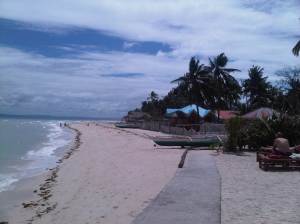 IMG02982-20130209-1159