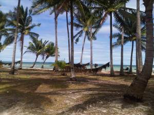 IMG02987-20130209-1239