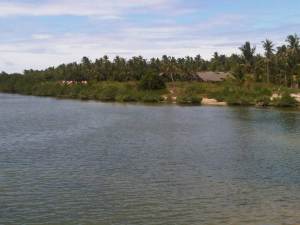 IMG02988-20130209-1249