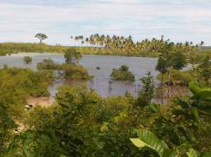 IMG02994-20130209-1246