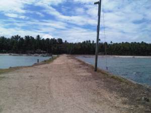 IMG02996-20130209-1258