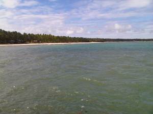 IMG02997-20130209-1258