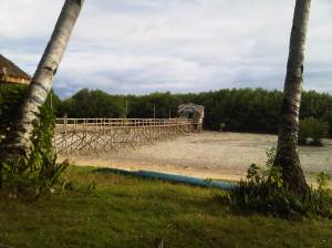 IMG03013-20130209-1606