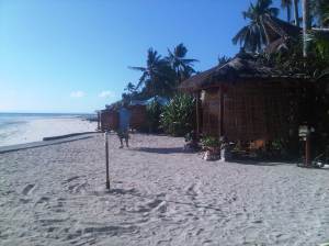 IMG03021-20130210-0801