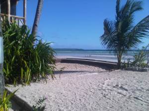 IMG03023-20130210-0801