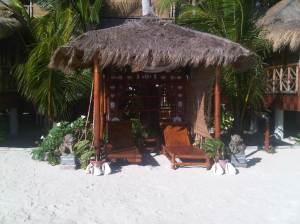 IMG03024-20130210-0801