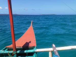 IMG03036-20130210-1128