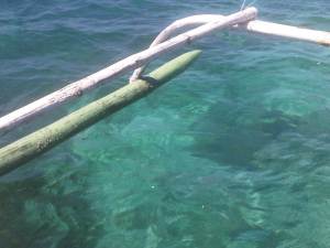 IMG03042-20130210-1147