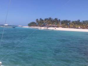 IMG03043-20130210-1147