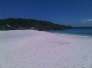 IMG03044-20130210-1149