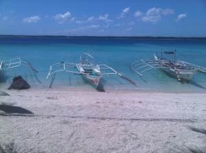 IMG03047-20130210-1155