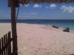 IMG03049-20130210-1157