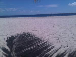 IMG03050-20130210-1243