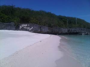 IMG03064-20130210-1348