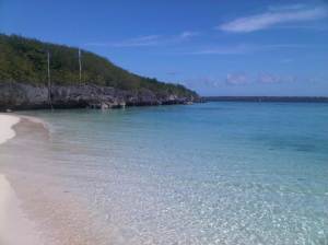 IMG03065-20130210-1348