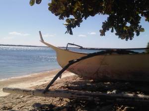 IMG03074-20130210-1424