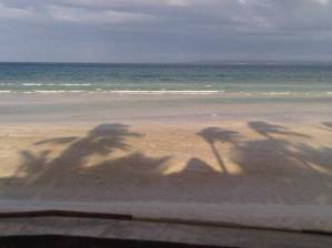 IMG03080-20130210-1630